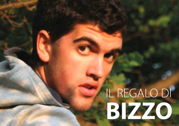 viggiù - giovanni bizzozero