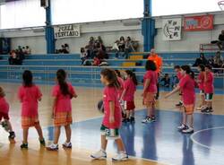 12901346 1051181604940862 7313693094021426873 o   Copia