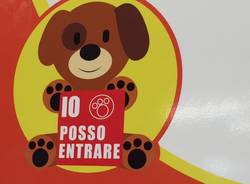 a luino il supermarket col carrello per cani