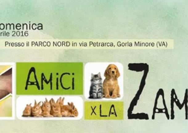 amici per la zampa