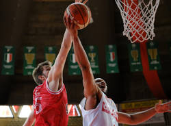 basket pallacanestro varese chris wright