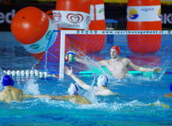 Busto Arsizio Pallanuoto