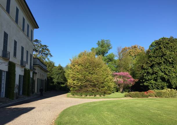 Blu Sky at Villa Panza