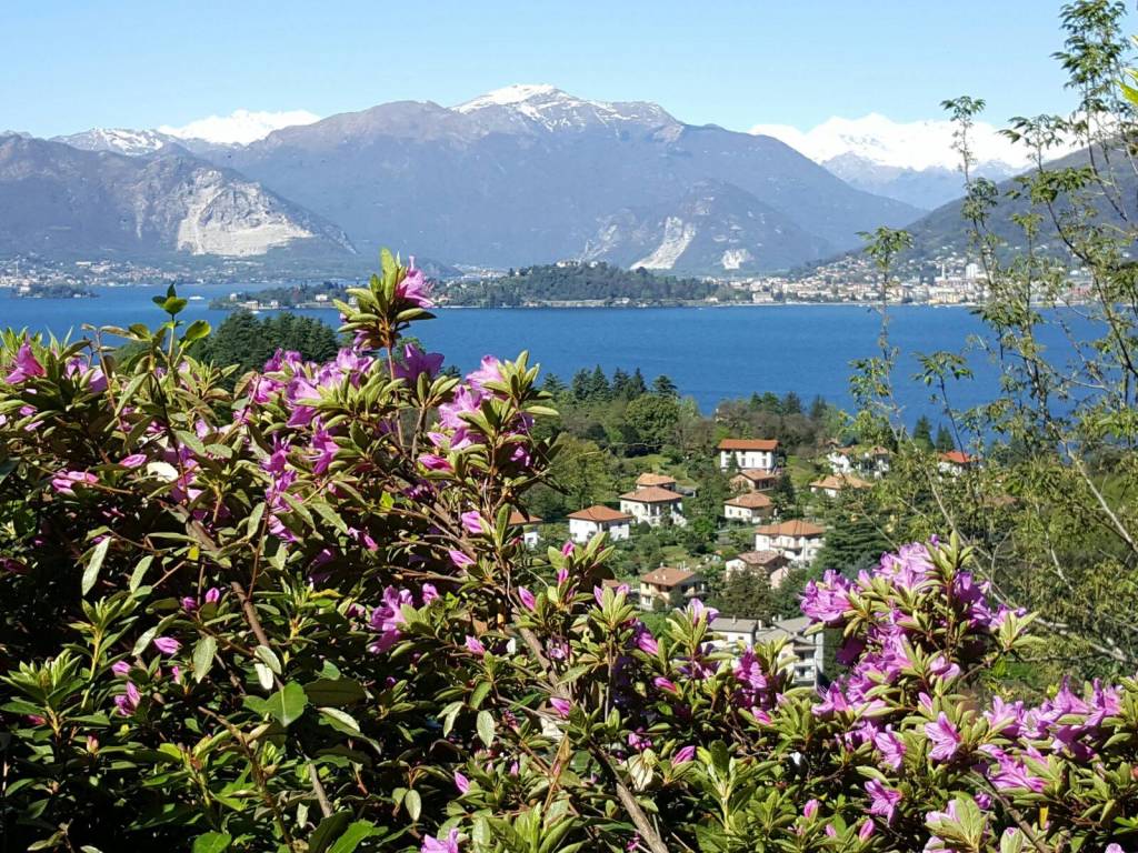 Il belvedere dallo Scoiattolo sopra Laveno