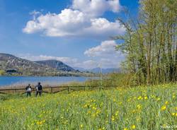 La primavera a Corgeno