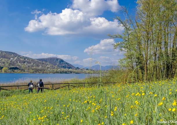 La primavera a Corgeno