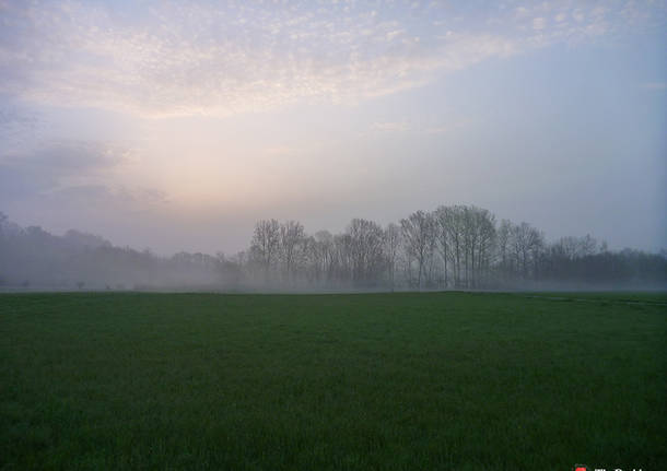 Schiranna – Alba e un velo di Nebbia