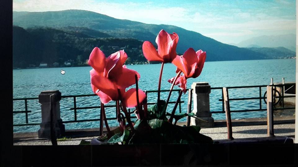 Foto del giorno del mese di Aprile 2016