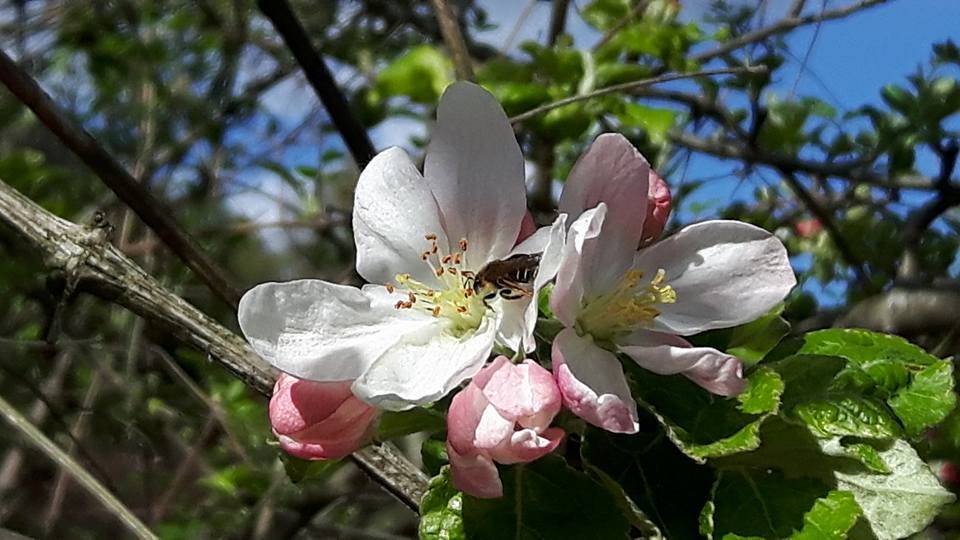 Foto del giorno del mese di Aprile 2016