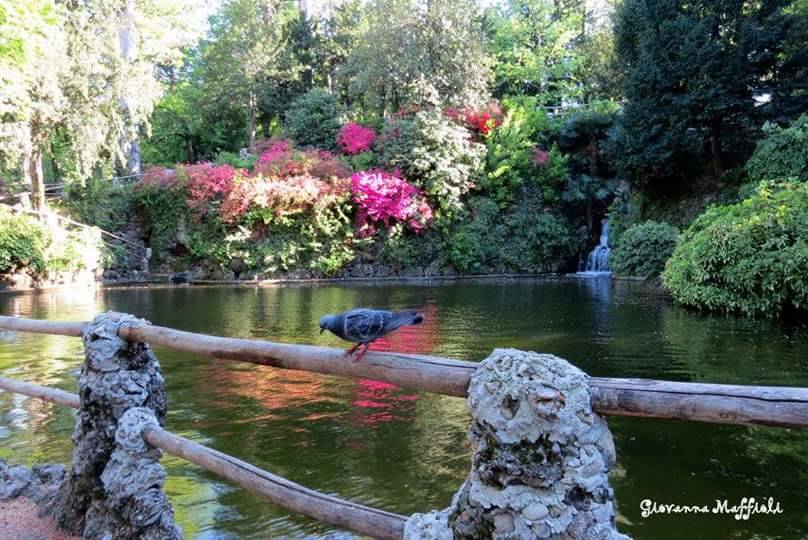 Giardini