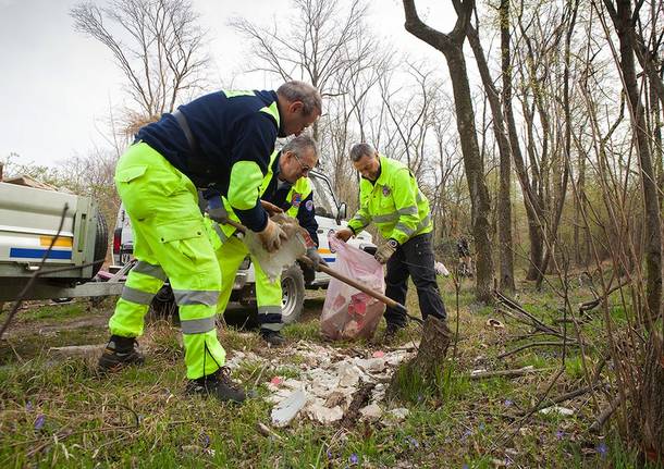 Giornata ecologica Fagnano Olona