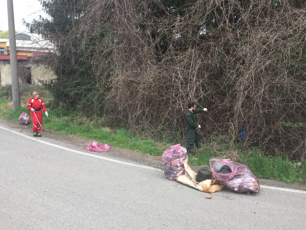 Giornata ecologica in Valle Olona