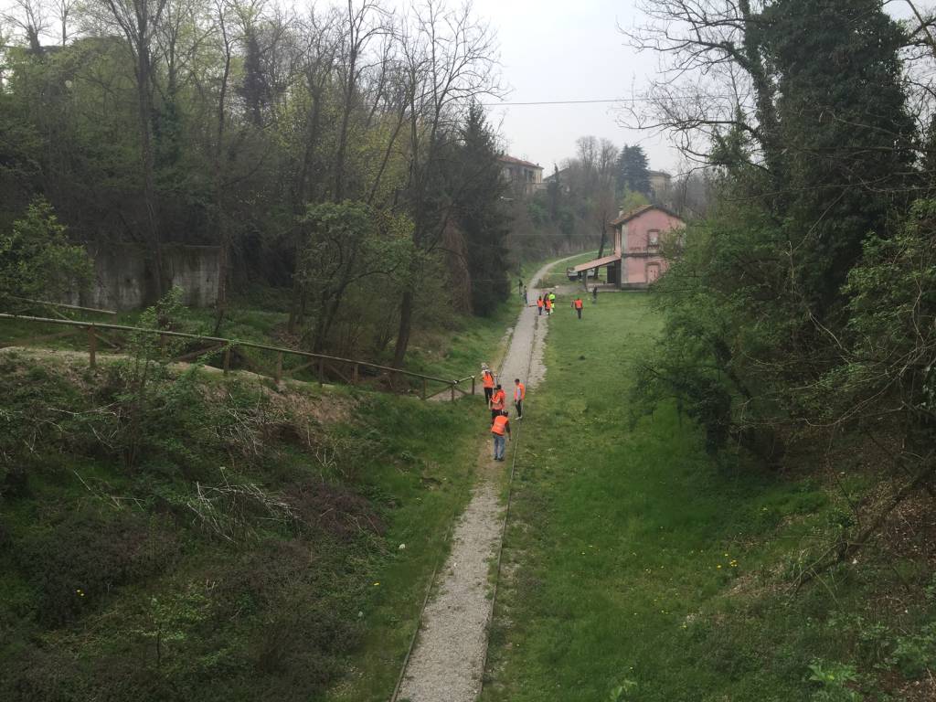 Giornata ecologica in Valle Olona