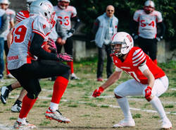 gorillas varese football americano