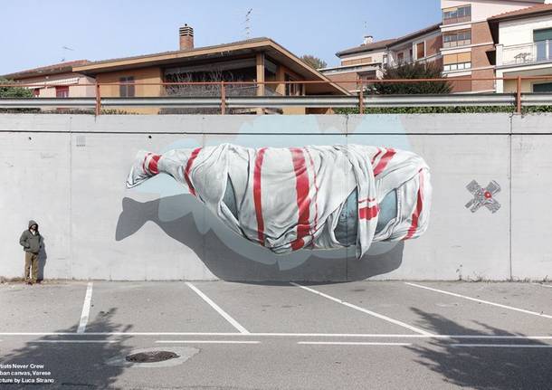 I murales realizzati a Varese