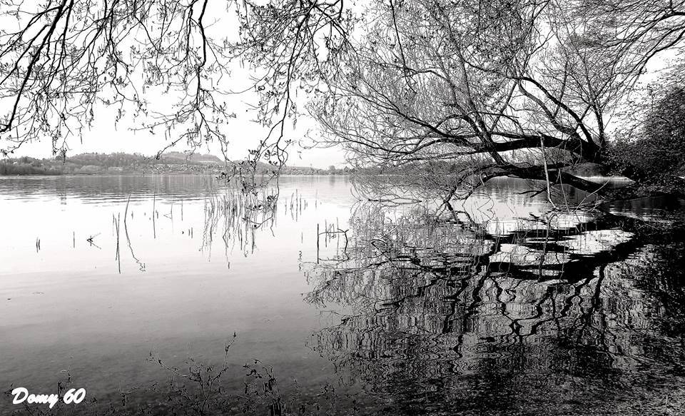 Il lago di Comabbio in bianco e nero - foto di Domenico De Lucia