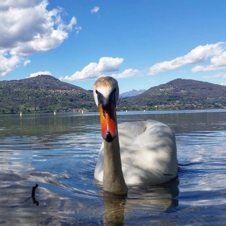 Il parco della Quassa