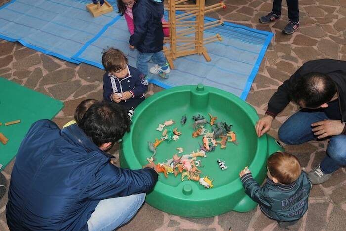 IMG 8549