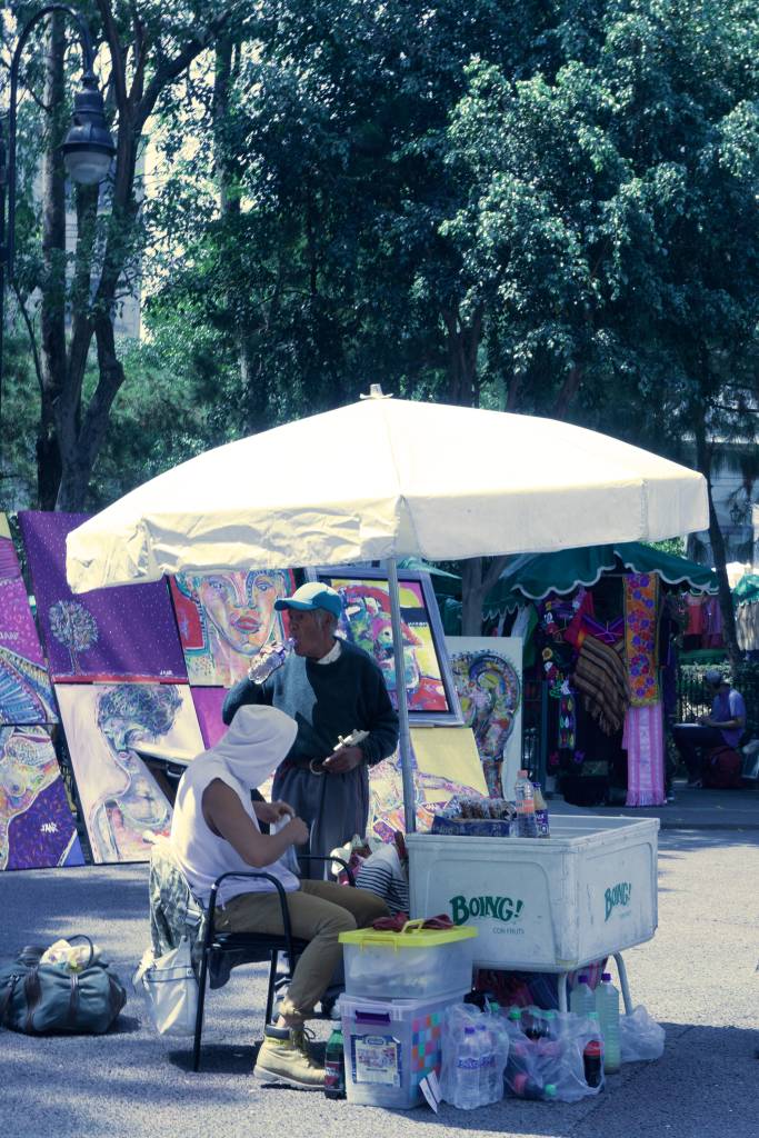 In2Mexico