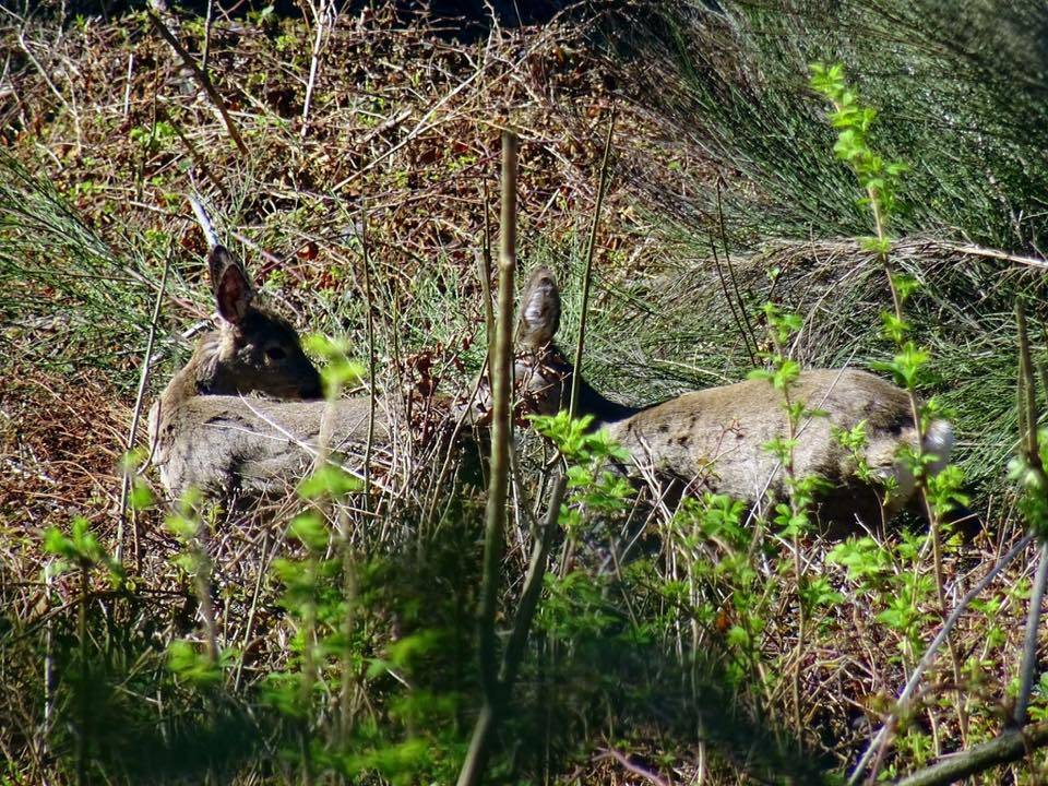 Incontri al forte di Orino