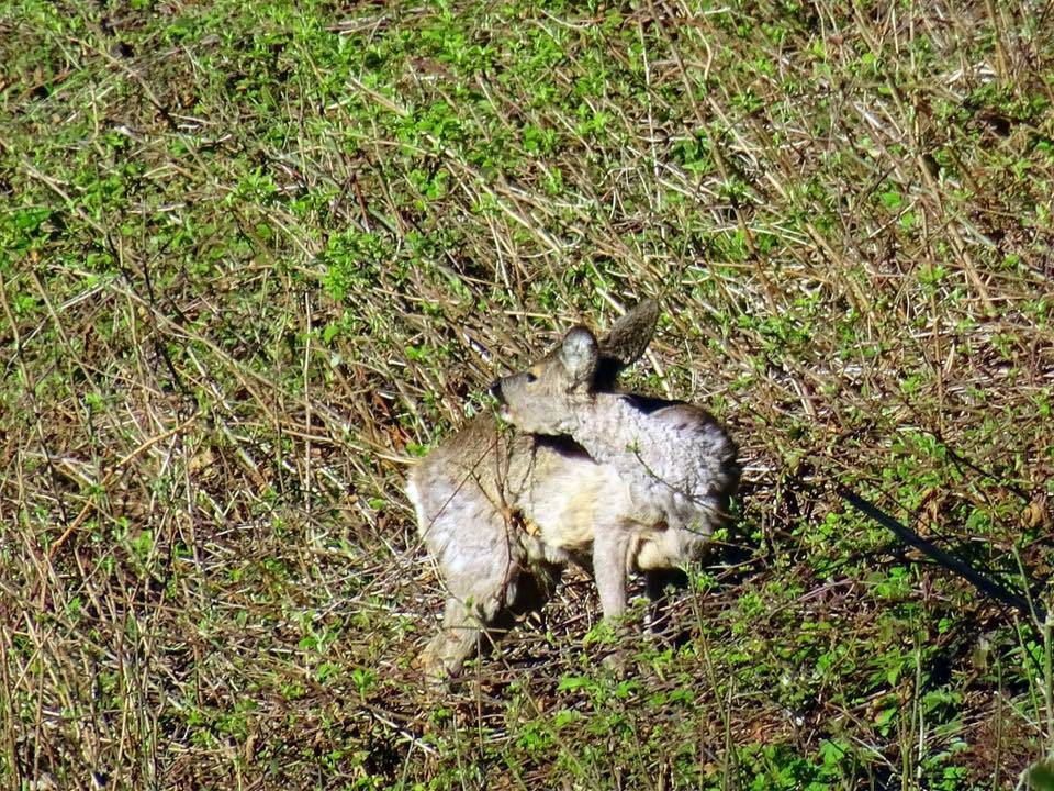 Incontri al forte di Orino
