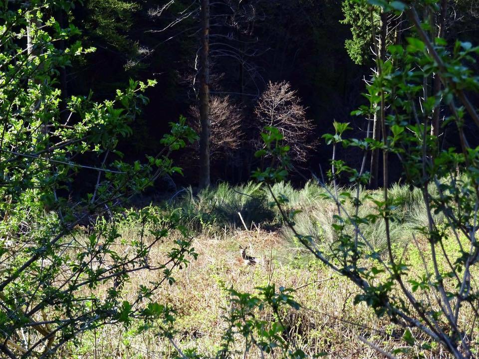 Incontri al forte di Orino