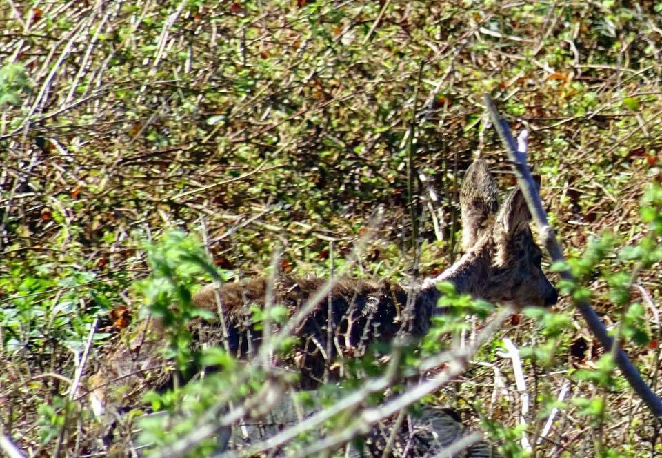 Incontri al forte di Orino