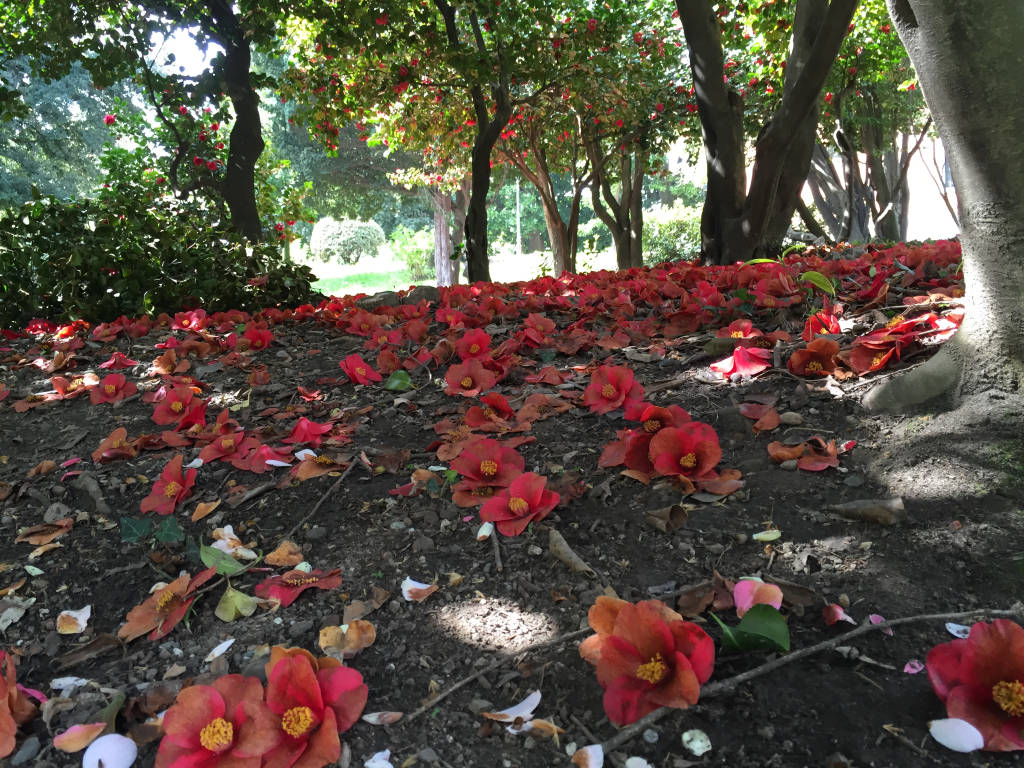 Mattina di primavera a Villa Mirabello