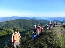 Musica in alta quota