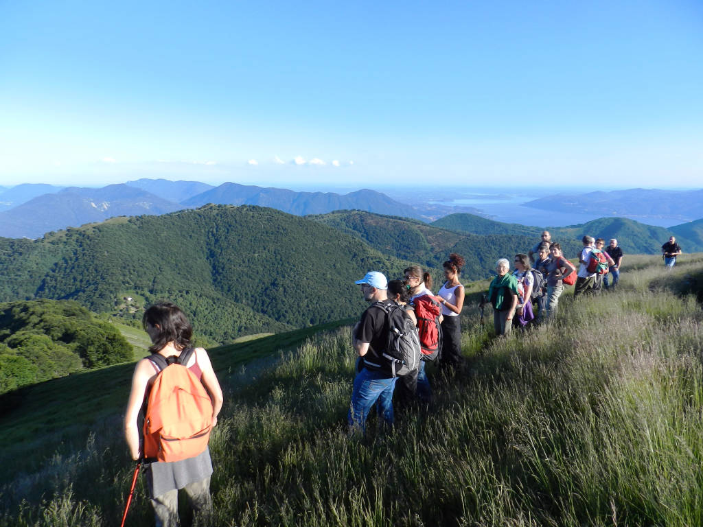 Musica in alta quota