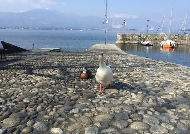 Olmo e Guendalina, le star di Cerro