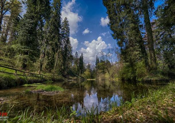 Parco dell'Argentera 