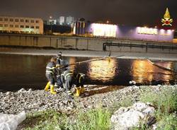 Petrolio nel fiume a Genova