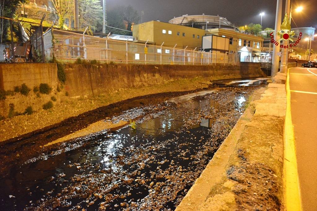 Petrolio nel fiume a Genova