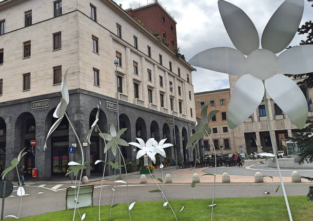Sboccia in piazza la Varese Design Week