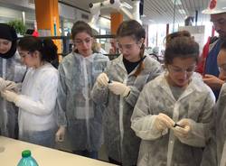 studenti chimica lamberti albizzate