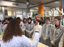 studenti chimica lamberti albizzate