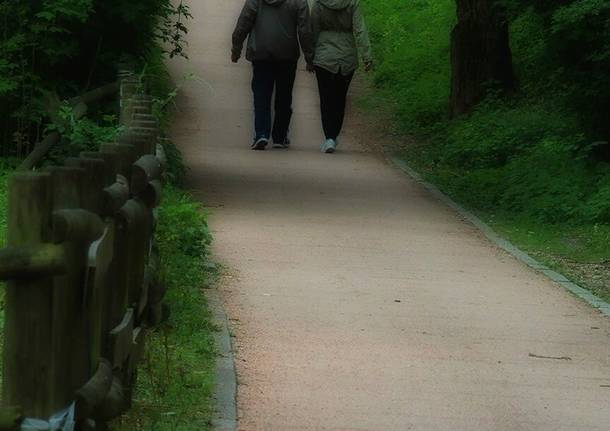 Una passeggiata nel "Parco degli Aironi" a Gerenzano