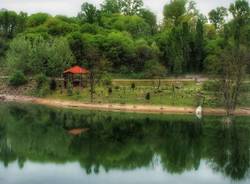 Una passeggiata nel "Parco degli Aironi" a Gerenzano