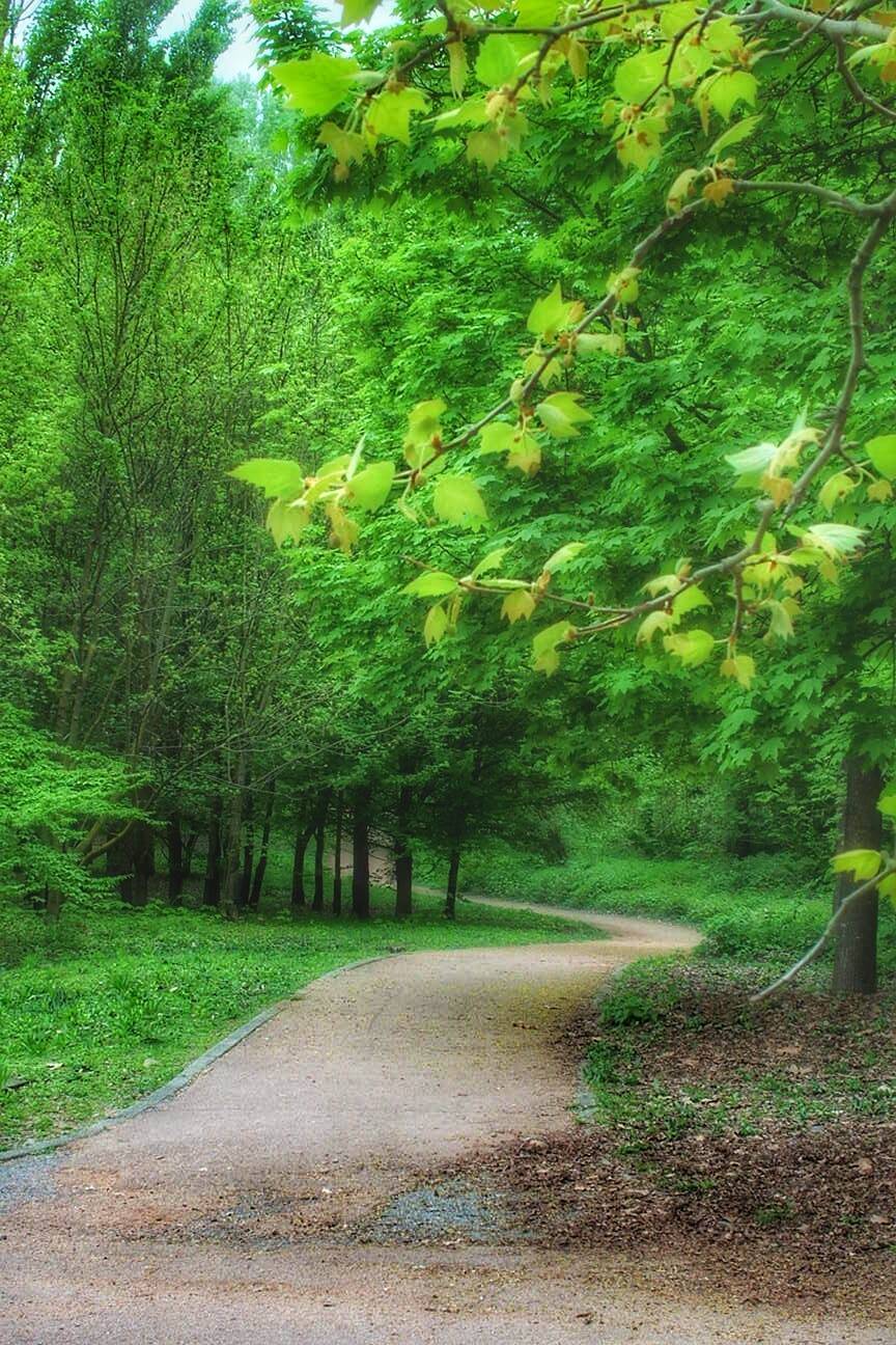 Una passeggiata nel "Parco degli Aironi" a Gerenzano