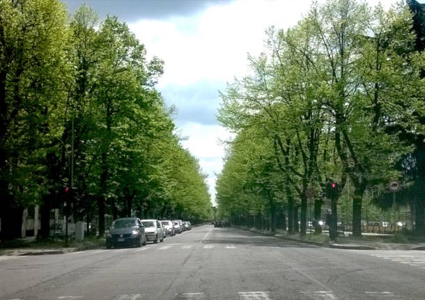 viale della gloria