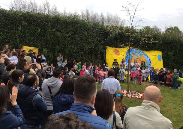 viggiù - festa dell'albero alla materna di baraggia