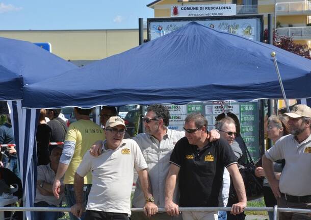 Lions Club – Esposizione auto Rescaldina