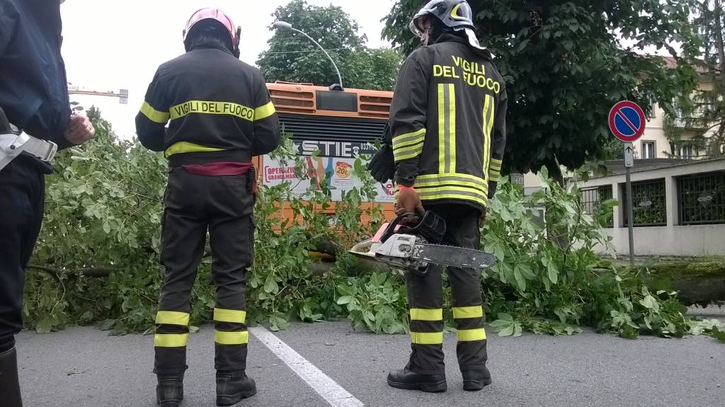 Albero cade sul bus