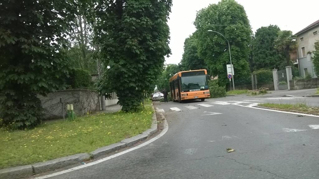 Albero cade sul bus
