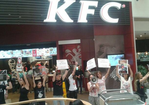 Blitz animalista KFC – Arese