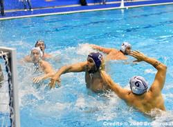 Bpm sport Management - AN Brescia 