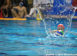 Bpm sport Management - AN Brescia 