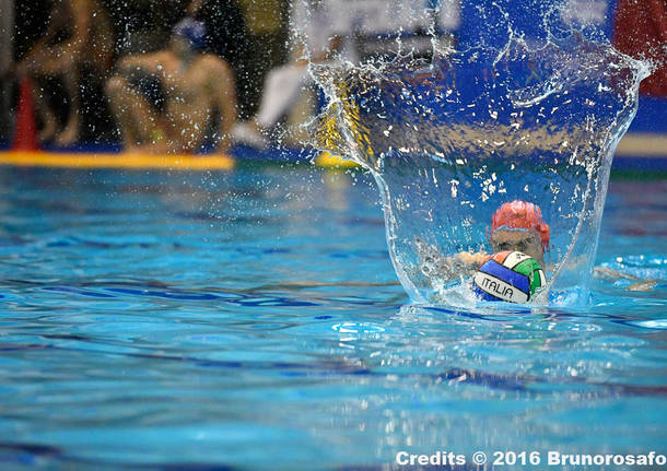 Bpm sport Management - AN Brescia 