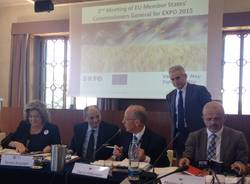 Camera di Commercio generiche